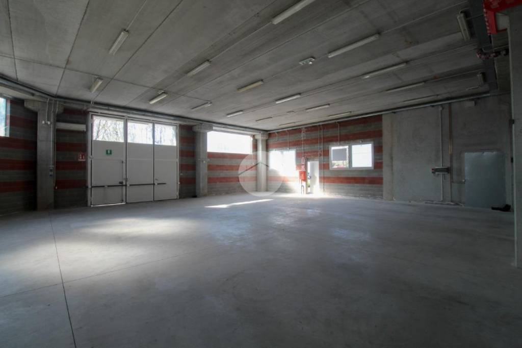 immagine annuncio 4 di 11