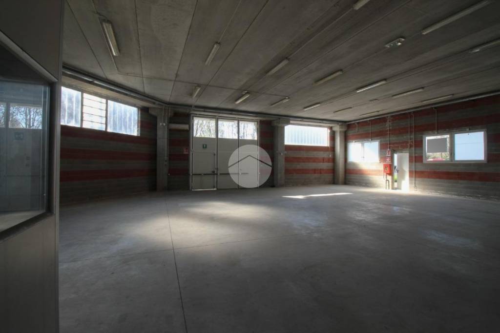 immagine annuncio 5 di 11