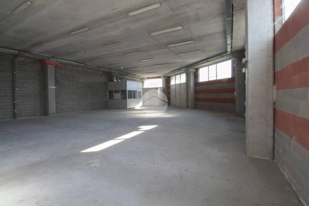 immagine annuncio 6 di 11