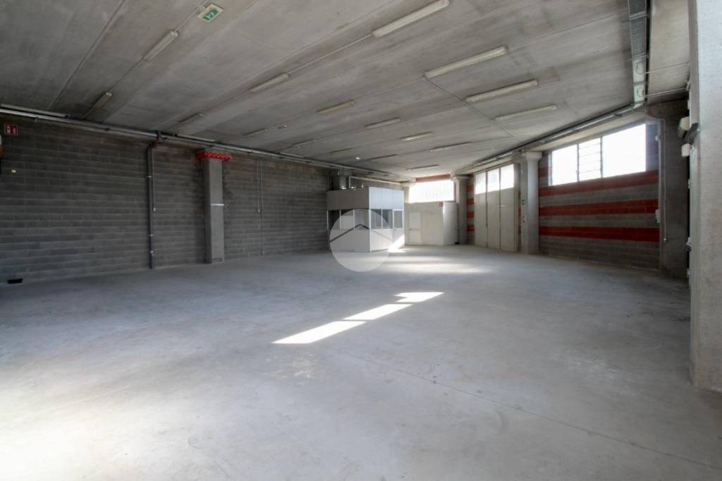 immagine annuncio 7 di 11