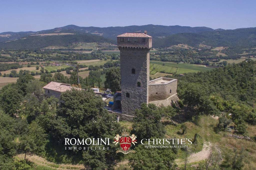 immagine annuncio 7 di 14