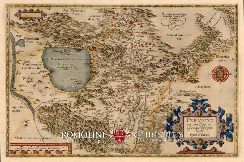 immagine annuncio 12 di 14