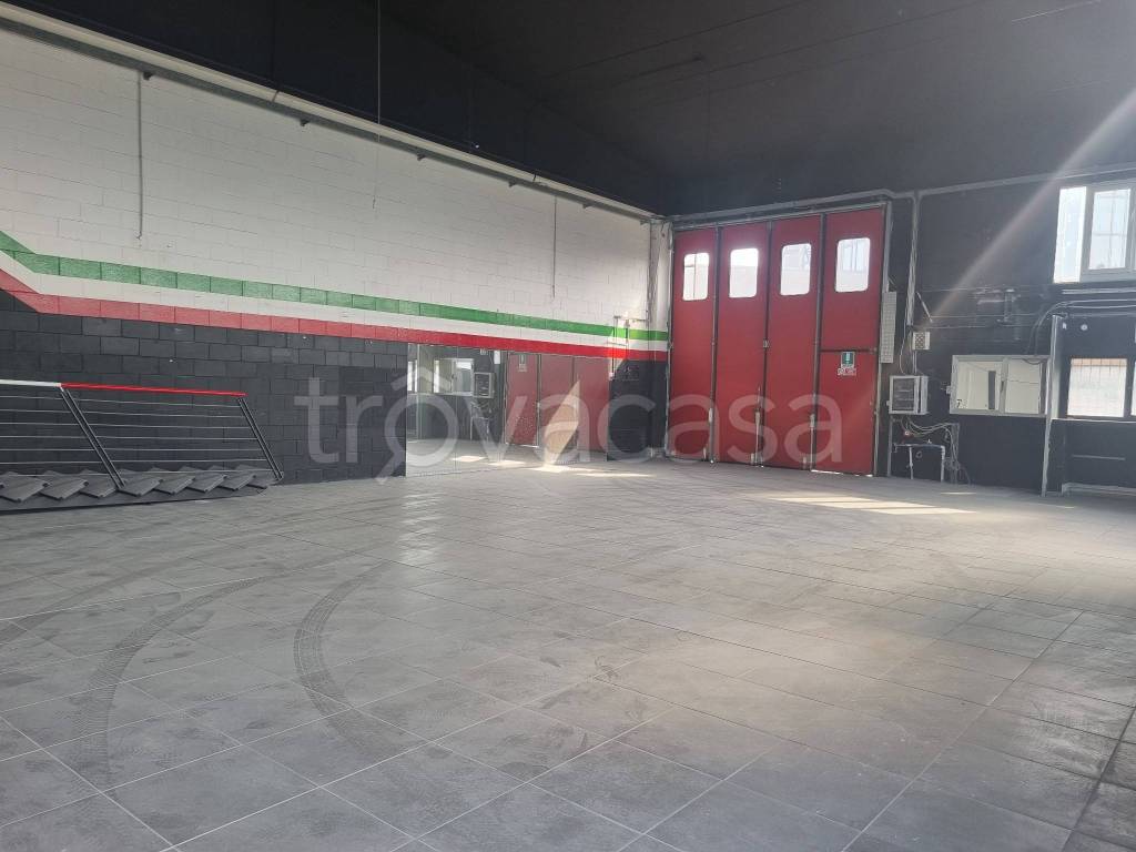 immagine annuncio 2 di 15