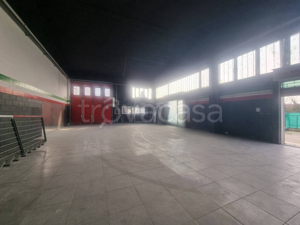 immagine annuncio 5 di 15