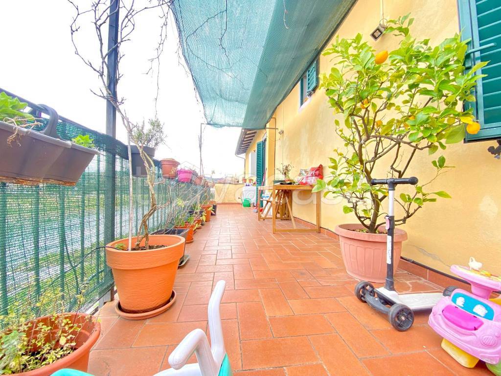 immagine annuncio 7 di 15