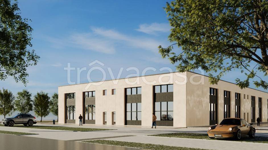 immagine annuncio 1 di 11