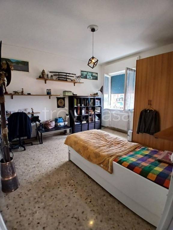 immagine annuncio 4 di 12