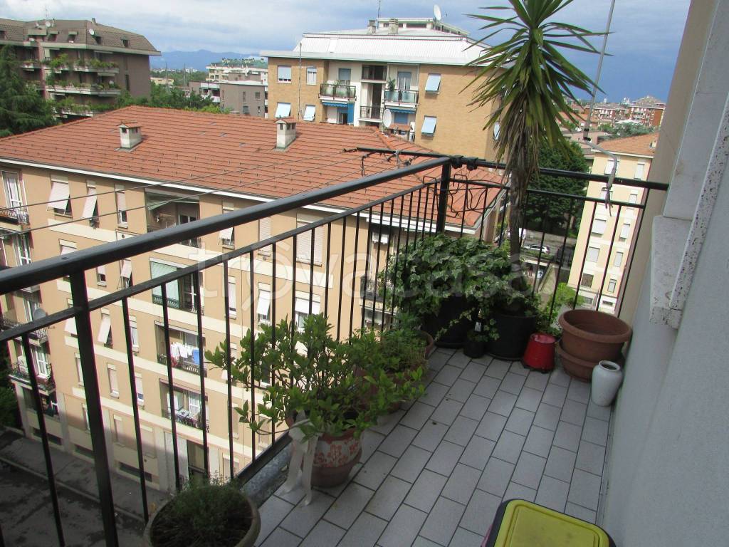 immagine annuncio 11 di 12