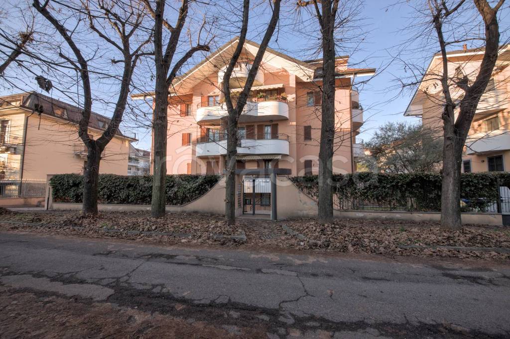 immagine annuncio 1 di 15