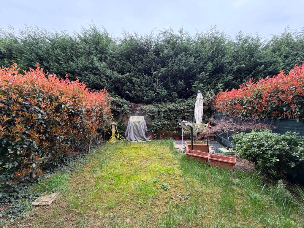 immagine annuncio 1 di 15