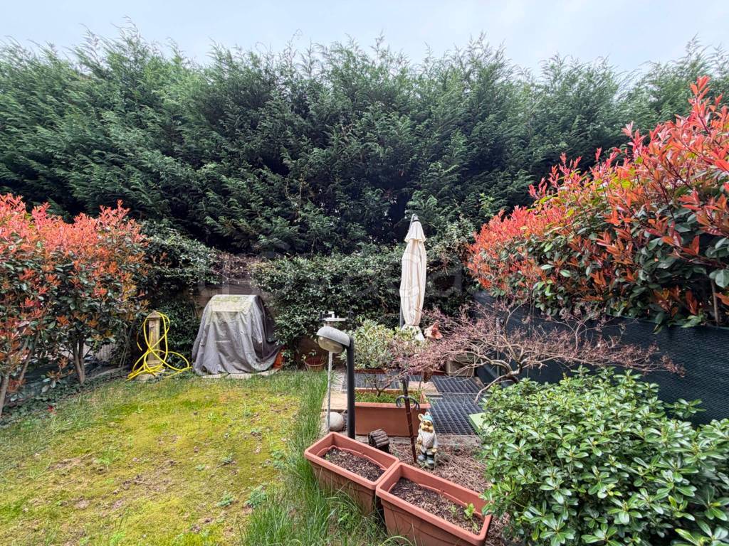 immagine annuncio 4 di 15