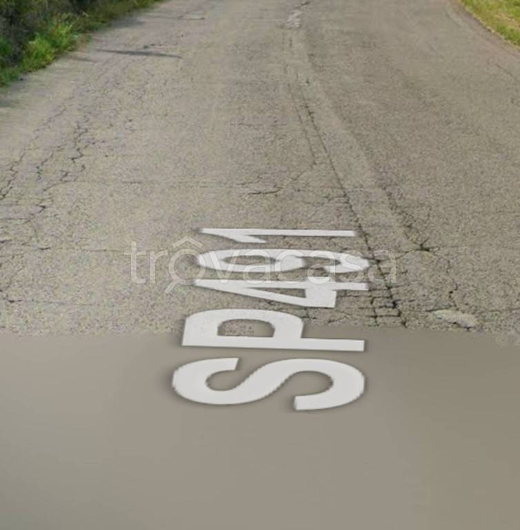 immagine annuncio 6 di 13