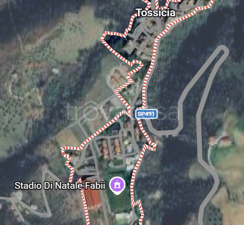 immagine annuncio 12 di 13