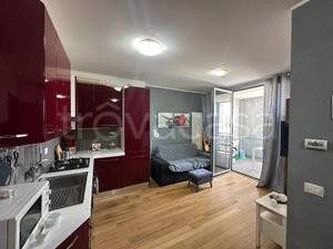 immagine annuncio 6 di 14