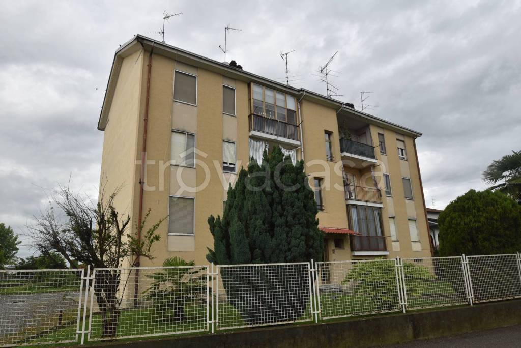 immagine annuncio 12 di 13