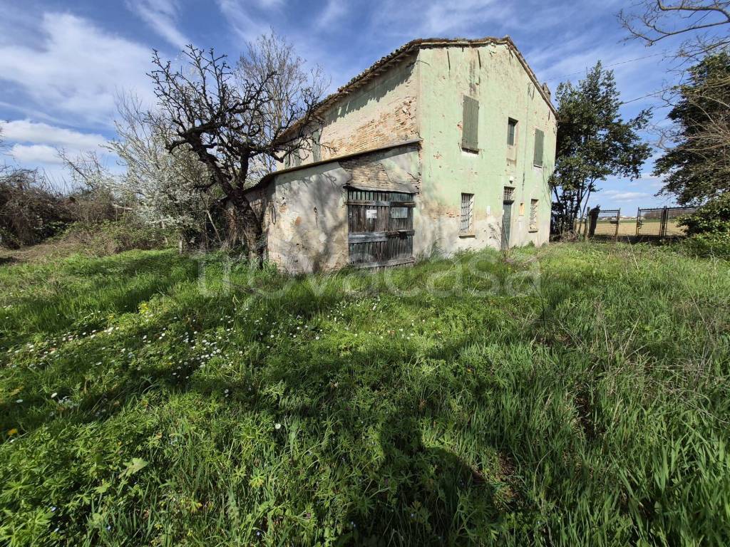 immagine annuncio 2 di 9