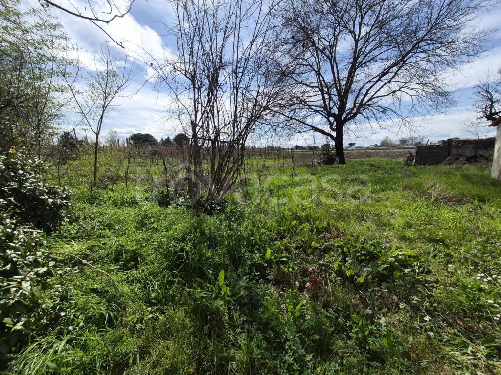 immagine annuncio 4 di 9