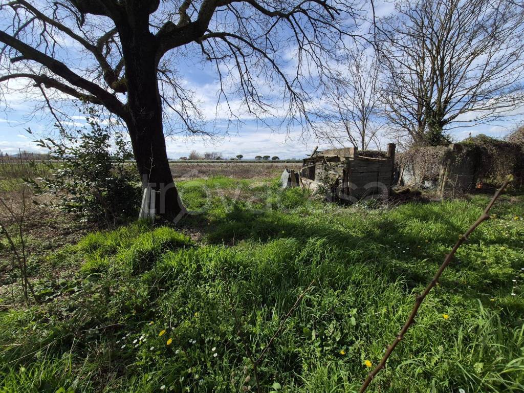 immagine annuncio 5 di 9