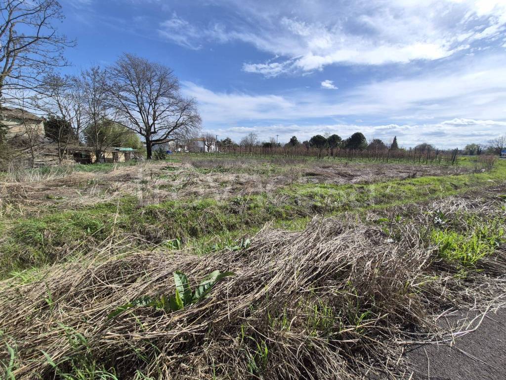 immagine annuncio 6 di 9