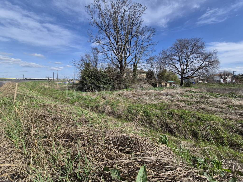 immagine annuncio 7 di 9