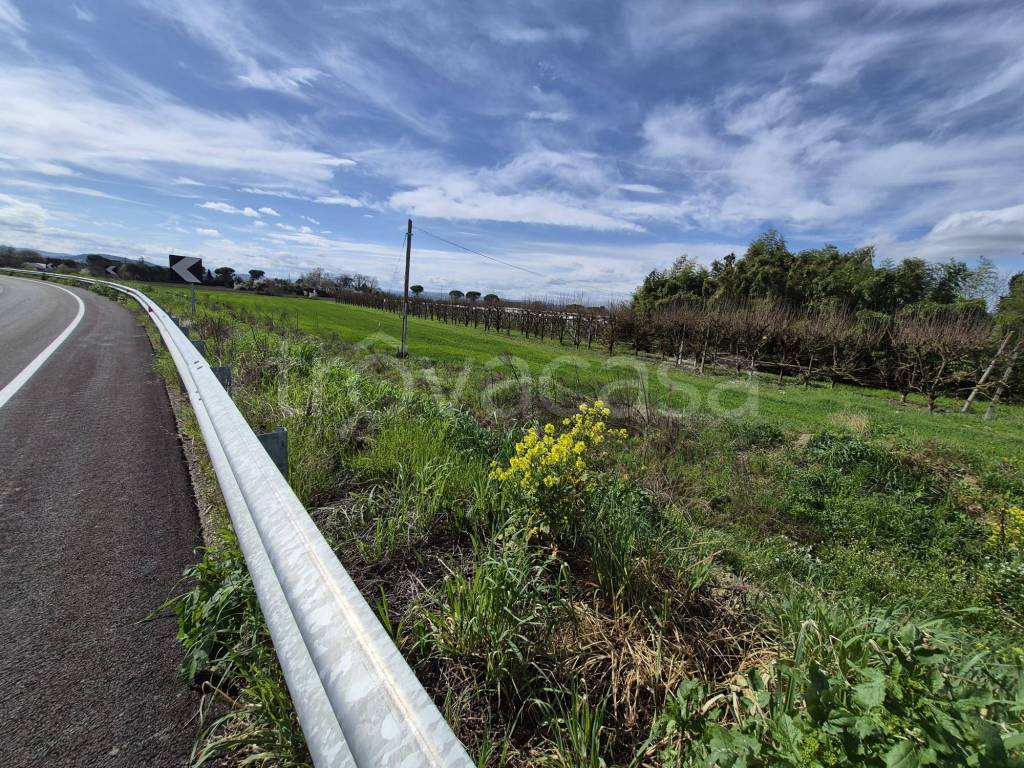 immagine annuncio 8 di 9