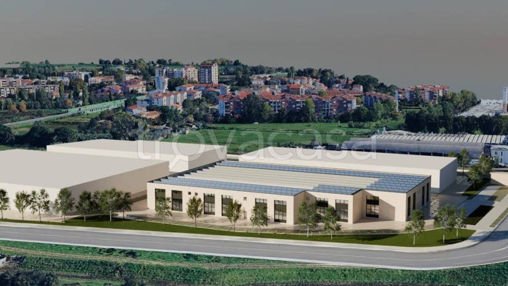 immagine annuncio 2 di 11