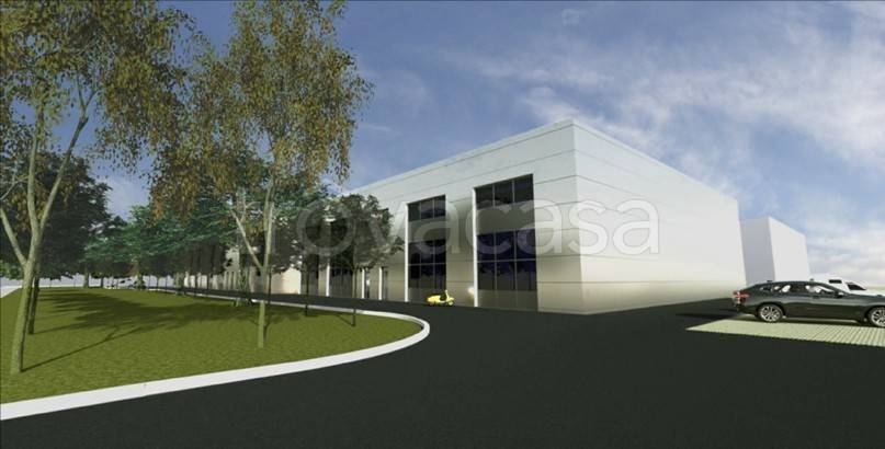 immagine annuncio 3 di 11