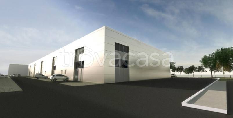 immagine annuncio 4 di 11