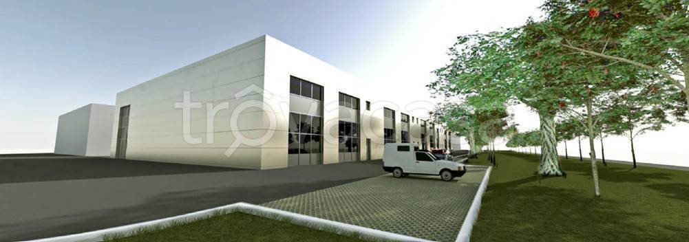 immagine annuncio 5 di 11