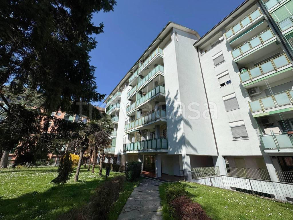 immagine annuncio 9 di 12