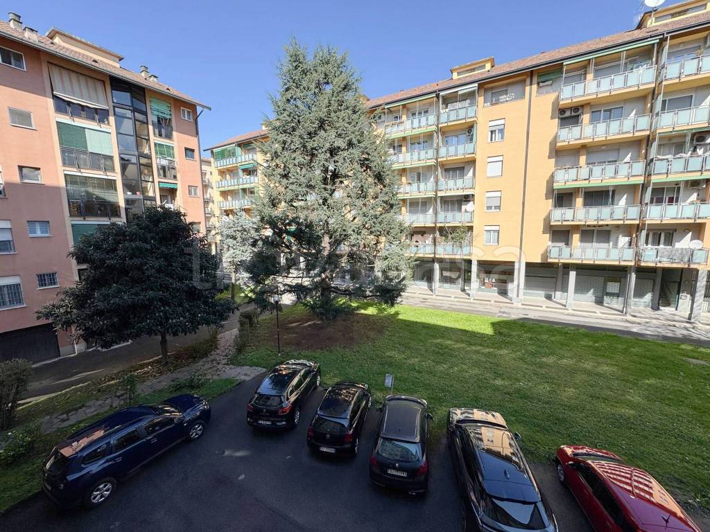 immagine annuncio 11 di 12