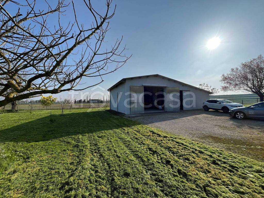 immagine annuncio 2 di 13