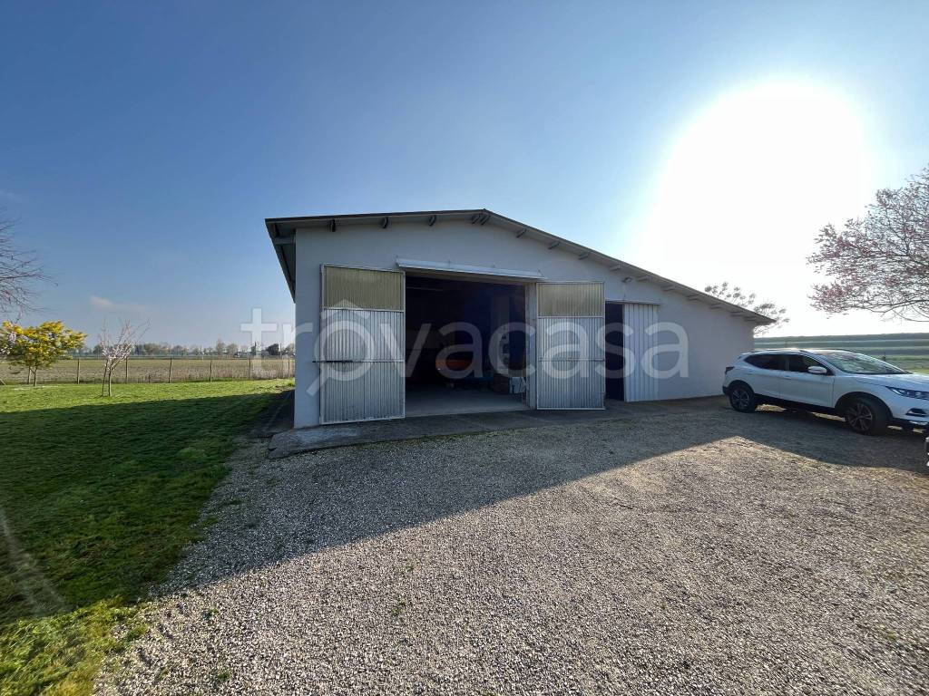 immagine annuncio 3 di 13