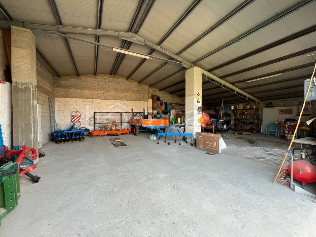 immagine annuncio 5 di 13