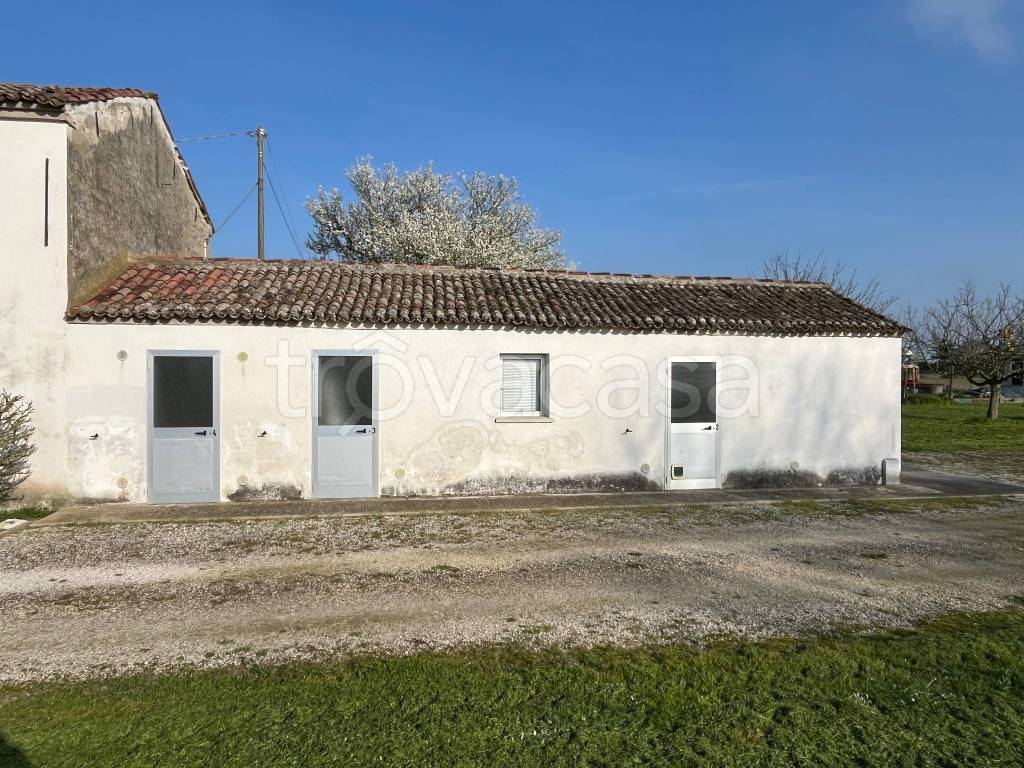 immagine annuncio 10 di 13