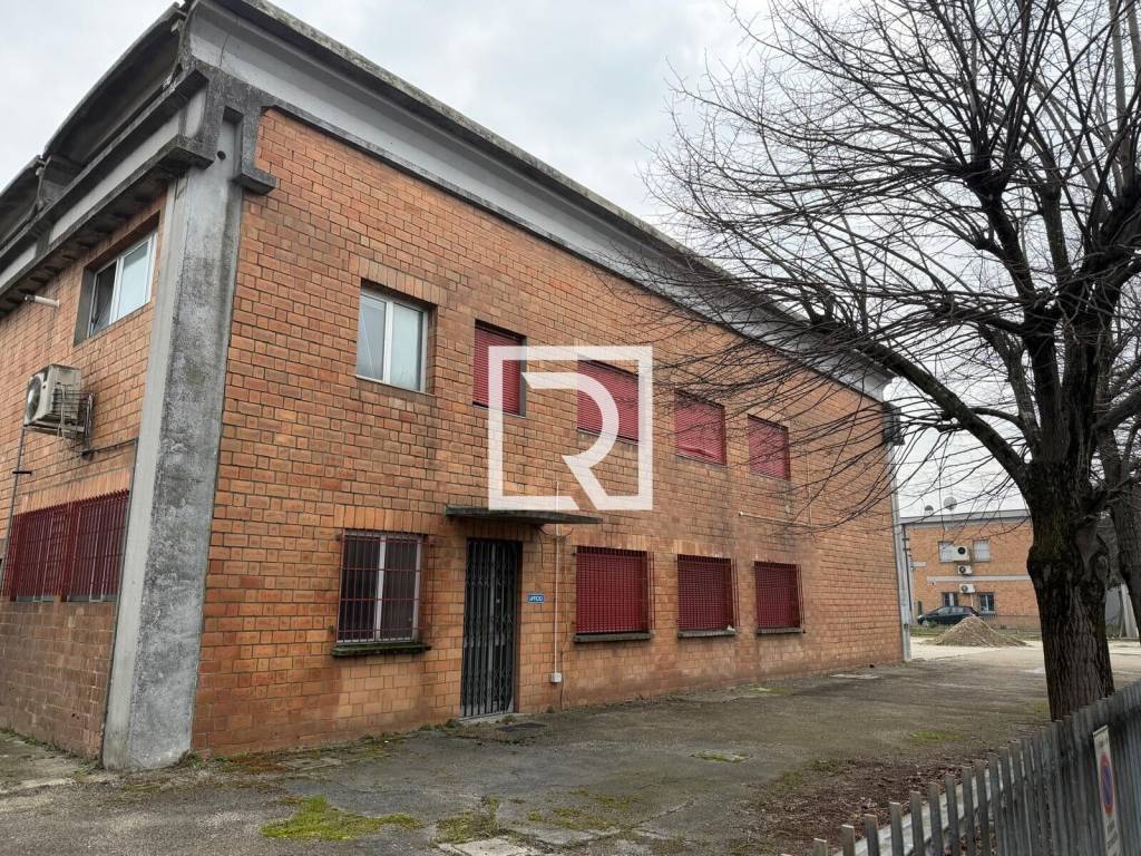 immagine annuncio 1 di 4