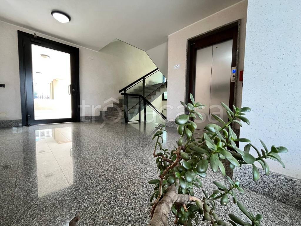 immagine annuncio 4 di 7