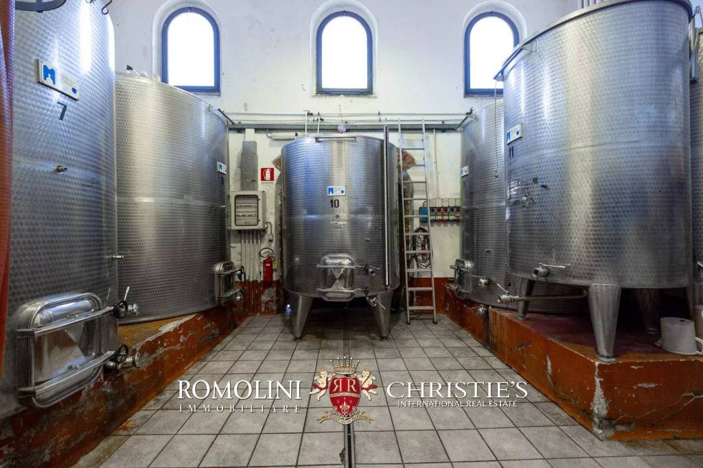 immagine annuncio 10 di 14