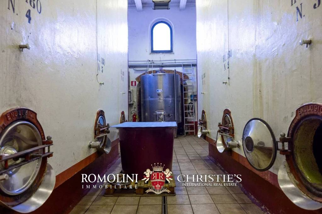 immagine annuncio 11 di 14