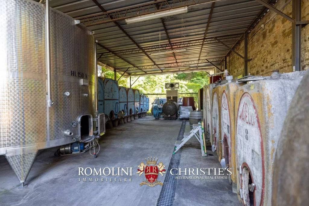 immagine annuncio 12 di 14