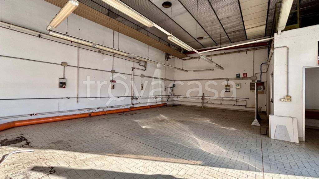 immagine annuncio 2 di 6