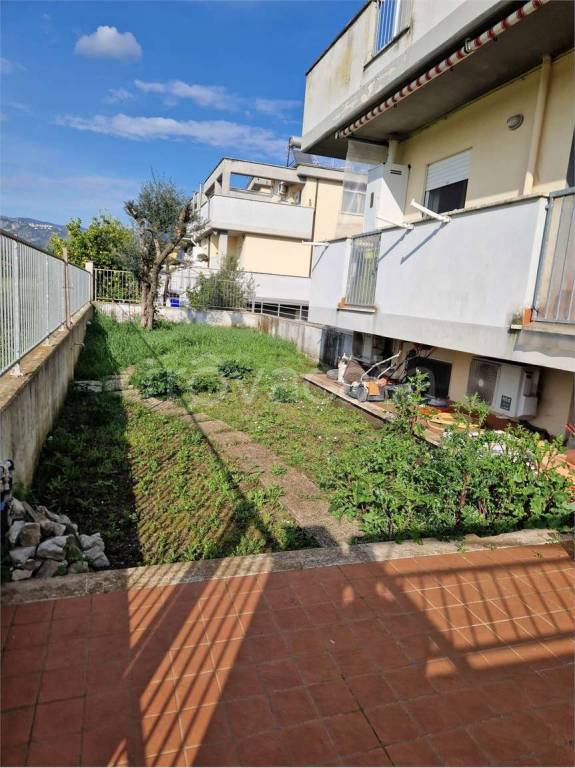 immagine annuncio 2 di 12