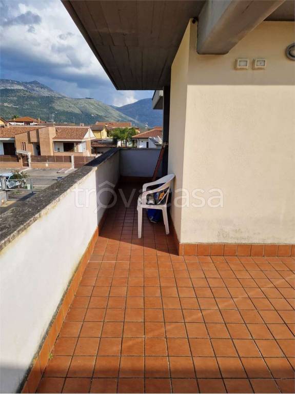 immagine annuncio 9 di 12