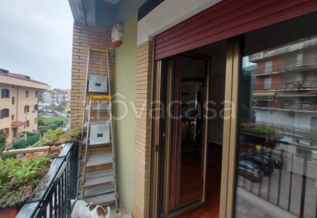 immagine annuncio 5 di 12