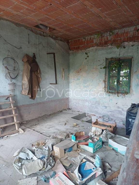 immagine annuncio 7 di 14