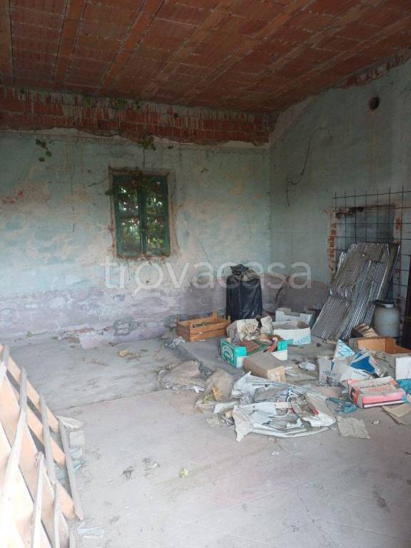 immagine annuncio 8 di 14