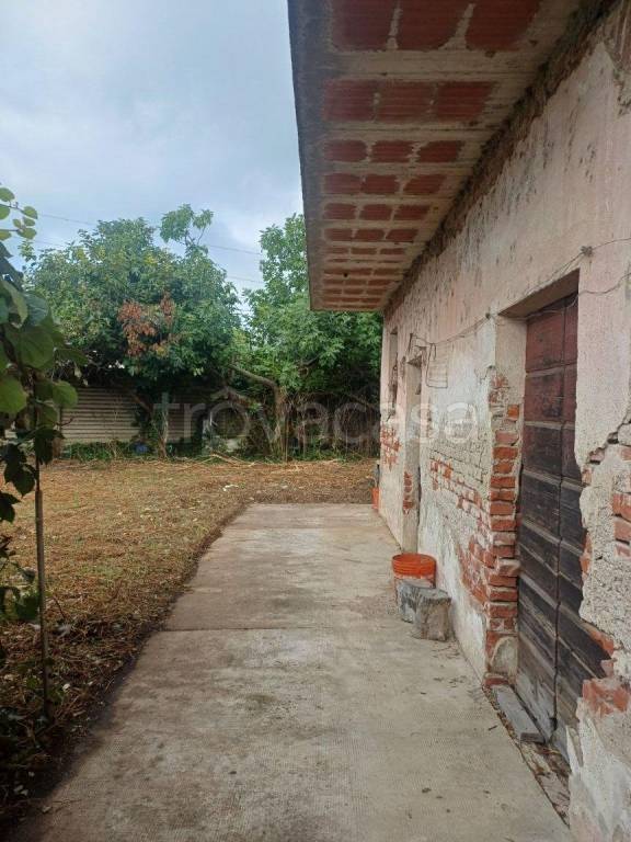 immagine annuncio 10 di 14