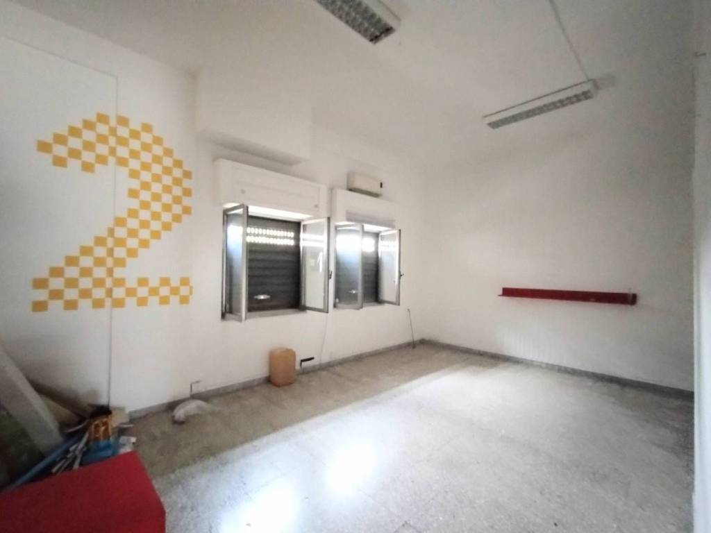 immagine annuncio 4 di 8