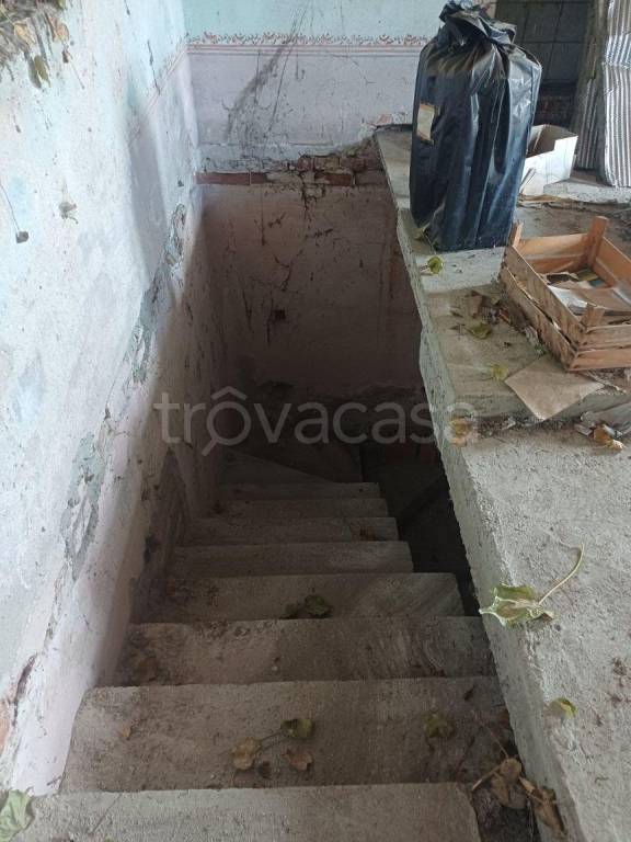 immagine annuncio 9 di 14