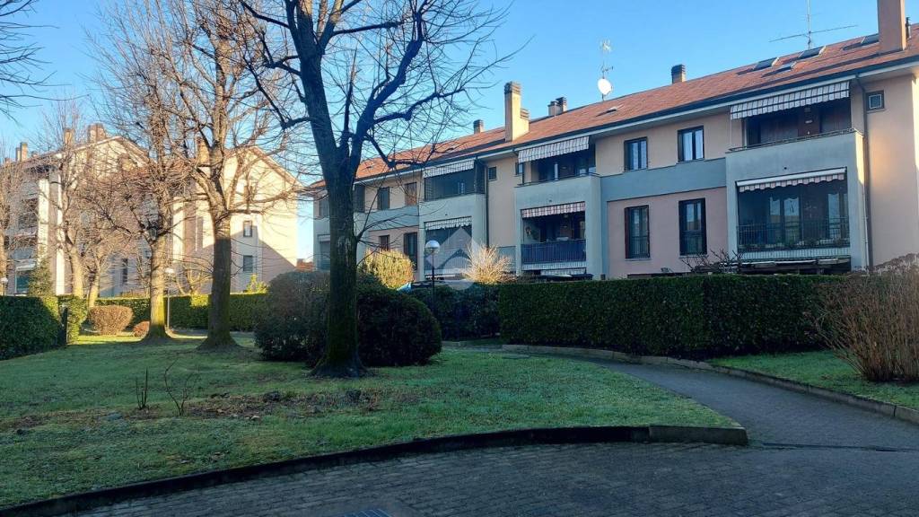 immagine annuncio 1 di 15